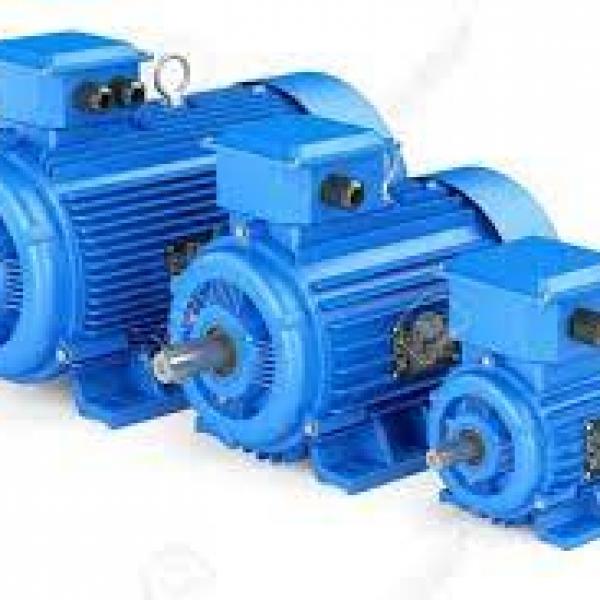 Industrial Motors