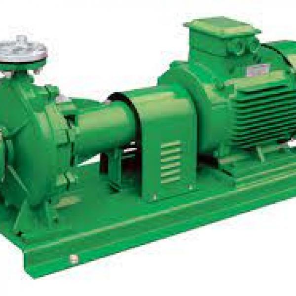 Pumps-1