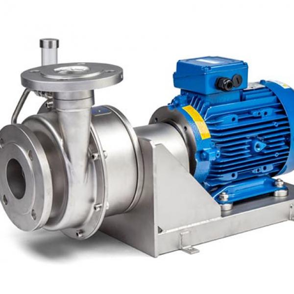Industrial Pumps